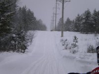 deer on trail.jpg
