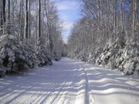 un plowerd road.jpg