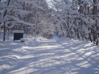 Trail 102 north of Bergland.jpg