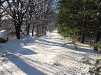 IMG_0785 (Small).JPG
