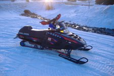 pics of sled runnin 005.jpg