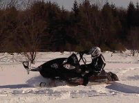 rob carving 4.jpg