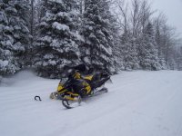 Snowmobiling Jan, 2010 032.jpg