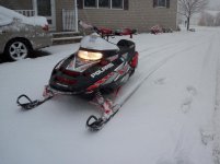 sled 368.jpg