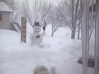 kruppys shed close to gone 2012.jpg