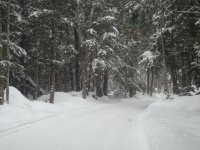 UP Trip 2012 047.jpg