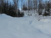 DSCN0459.jpg
