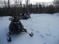 DSCN0460.jpg