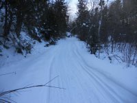 DSCN0465.jpg