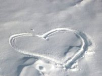 Heart 1.jpg