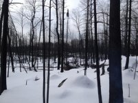IMG_0244s.jpg