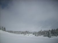 cooke city snowmobiling 2012 034.jpg