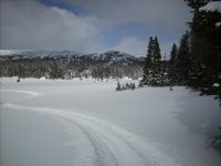 cooke city snowmobiling 2012 042.jpg