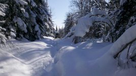 2012-02-18_11-03-40_16.jpg