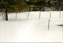 golf course tracks.jpg