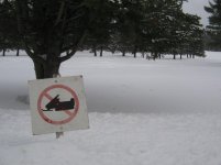 2-28-12 005.jpg