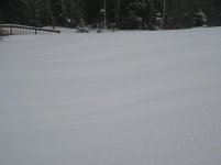 2-28-12 007.jpg