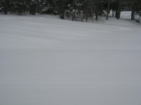2-28-12 008.jpg
