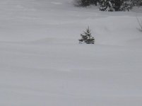2-28-12 009.jpg