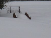 2-28-12 010.jpg