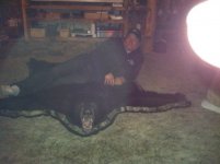 Scottiking Bear rug.JPG