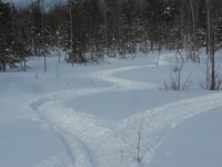 DSCN0550.jpg