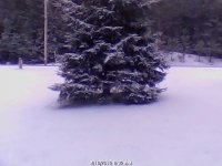 kabcam3-600x450.jpg