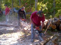 Sawing in stereo.jpg