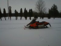 sledding 2010.jpg