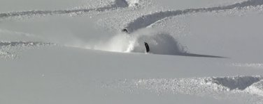 Carve.jpg