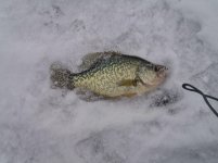 ice8.jpg