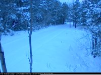 Trail cam 2.jpg