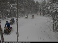 trail 17-------- Trail cam 2.jpg