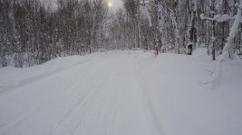 DSC00203.jpg