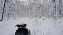 DSC00208.jpg