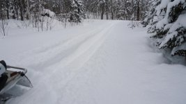 DSC00224.jpg