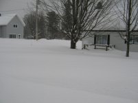 2-20-13 008.jpg
