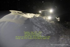 Paradise%20Groomers.jpg