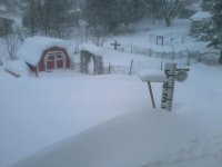 31476_511396922244046_2139885763_n.jpg 31476_511396922244046_2139885763_n.jpg