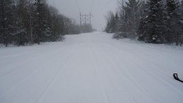DSC00248.jpg