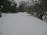 May 2nd 2013 003.jpg