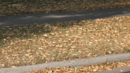 snowmobile prints 012.jpg