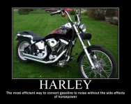 harley.jpg