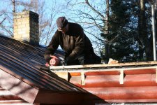 Moose Cabin Roof 2013.jpg