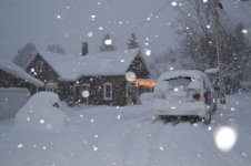 DSC_0005.jpg
