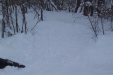 Snowplowing Prowler 005.jpg
