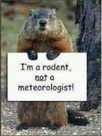 Ground Hog Day.jpg