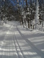 027-e.jpg
