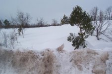 Laurium Glacier Mar 21, 2014 003.jpg