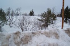 Laurium Glacier Mar 21, 2014 001.jpg